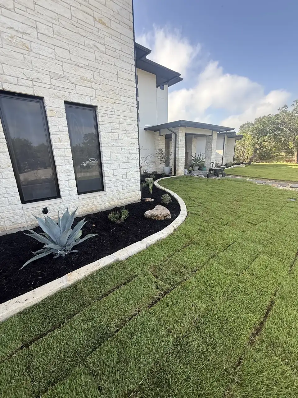 New sod, concrete curbing, and agave plantings at a modern home in Temple, Texas — Agaves Landscape